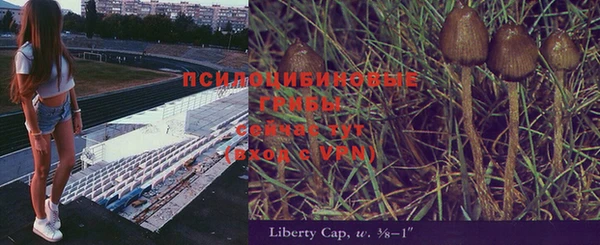 эйфоретик Зерноград