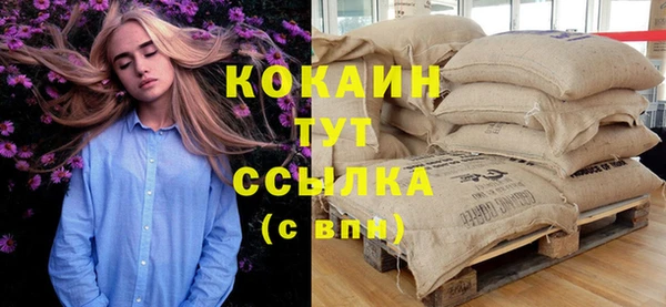 молекула духа Зеленодольск
