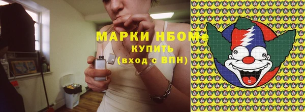 молекула духа Зеленодольск
