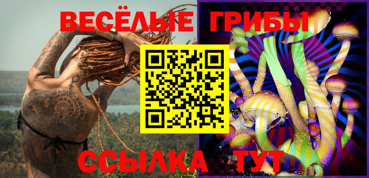 Галлюциногенные грибы Magic Shrooms Карачаевск