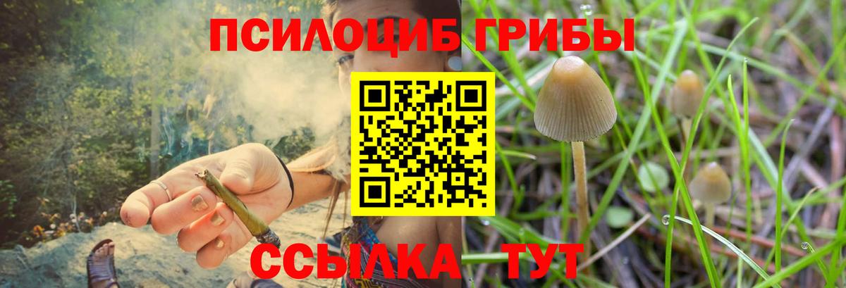 Псилоцибиновые грибы Psilocybine cubensis  Вход с VPN  Карачаевск 