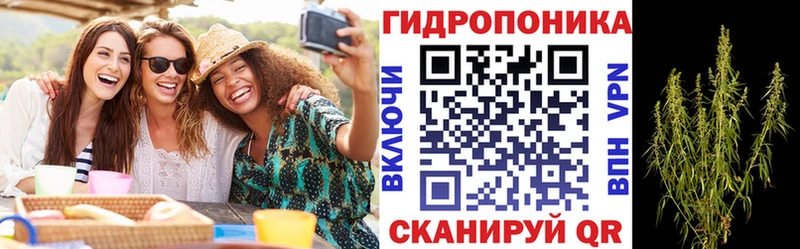 где купить наркоту  Карачаевск  МАРИХУАНА VHQ 